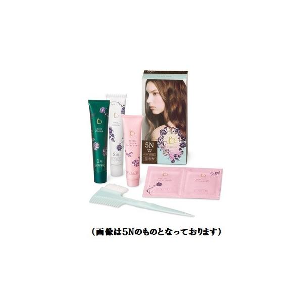 資生堂 ベネフィーク ヘアカラー 6N やや濃い栗色 : コスメ アべニュー