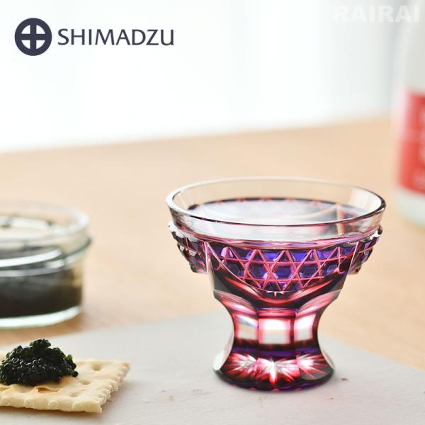 cds-r_shimadu-2c-ashi201-rk