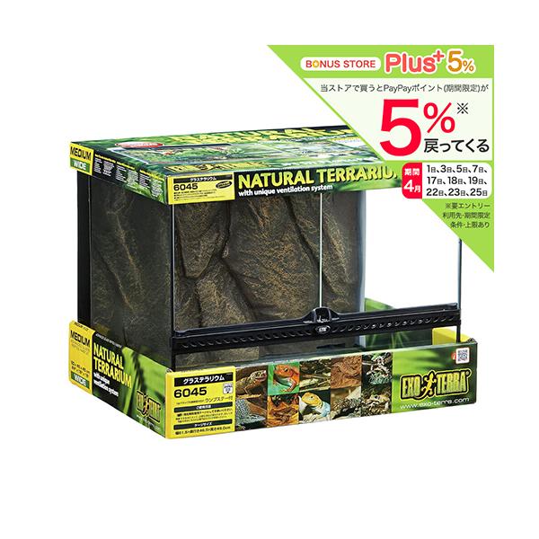 GEX（ジェックス） 爬虫類ケージ エキゾテラ グラステラリウム