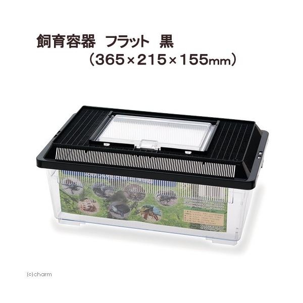 プラケース 飼育容器 フラット 黒（365×215×155mm） 虫かご