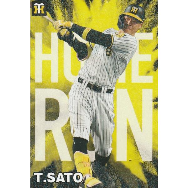 clearfile_pc2024hr-01