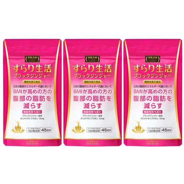 aishodo_4560438578886-3