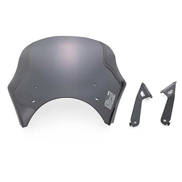 DAYTONA（デイトナ） D46260 スクリーン GB350C(24)専用 ブラスト