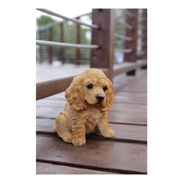 bezipang_wf-gpdg1421cream