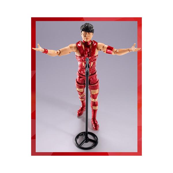 S.H.フィギュアーツ S.H.Figuarts T.M.Revolution RED HOT LIMITED