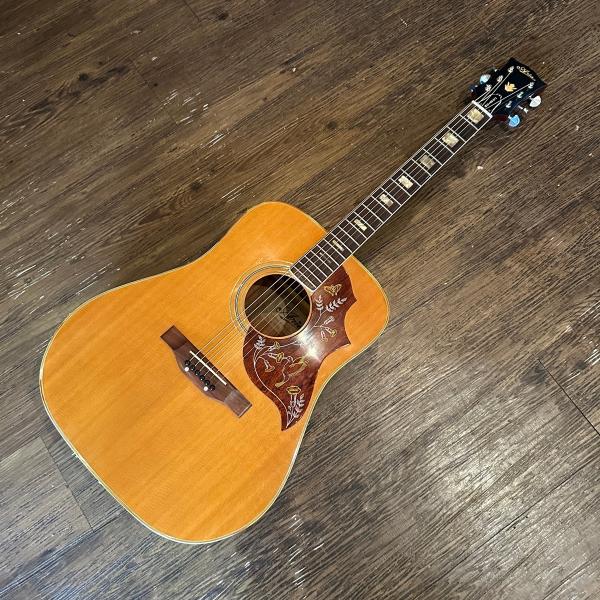 ARIA（アリア） Aria WH-25 1970年代 ハミングバード コピー Acoustic