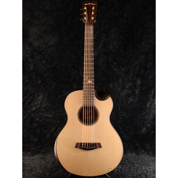 Islander Mini Guitar Rosewood 《アコギ》 : ギタープラネット Yahoo