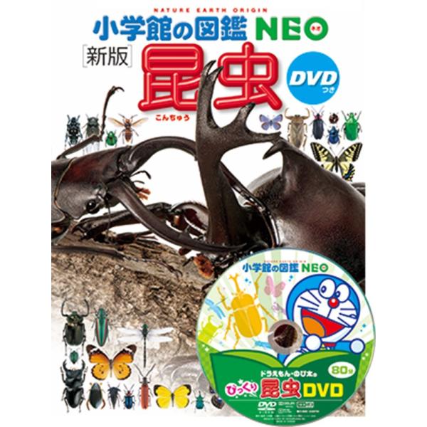 小学館の図鑑NEO [新版] 昆虫 DVD付き : 代官山 蔦屋書店 ヤフー店