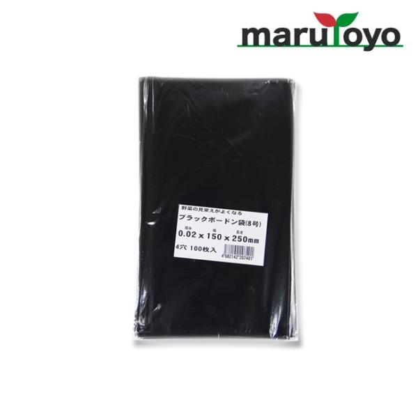 enjoy-marutoyo_650570