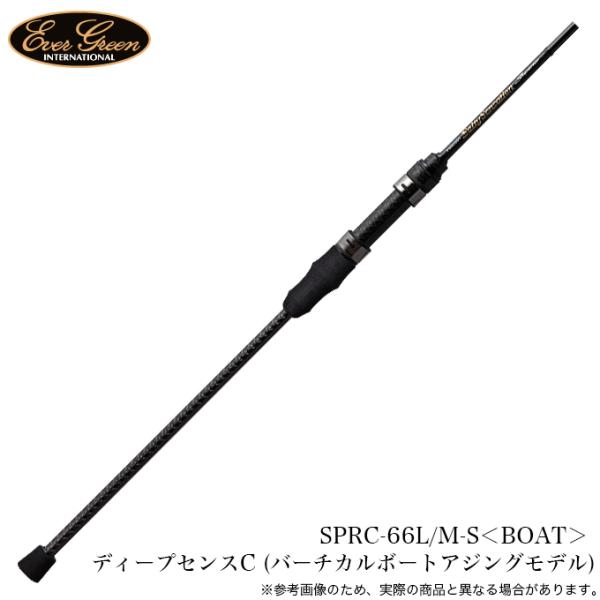 5)エバーグリーン ソルティーセンセーション スペリオル SPRC-66L/M-S