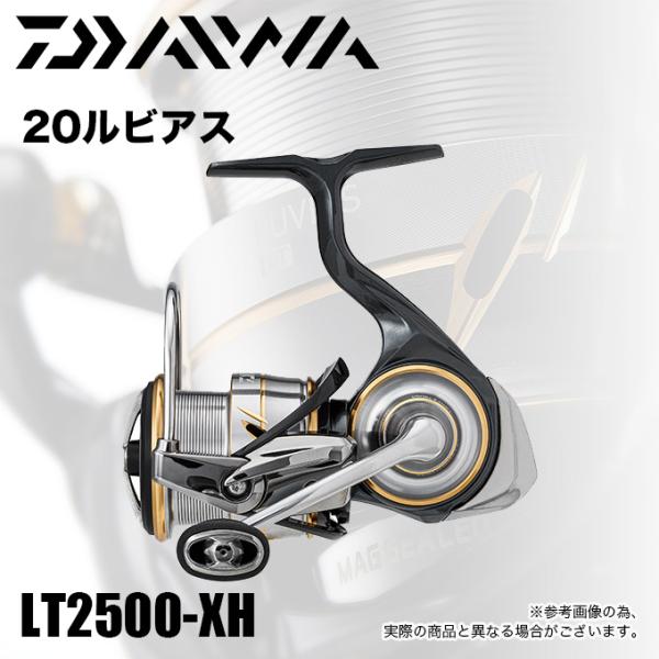 DAIWA（ダイワ） 【目玉商品】ダイワ 20 ルビアス LT 2500-XH (2020年