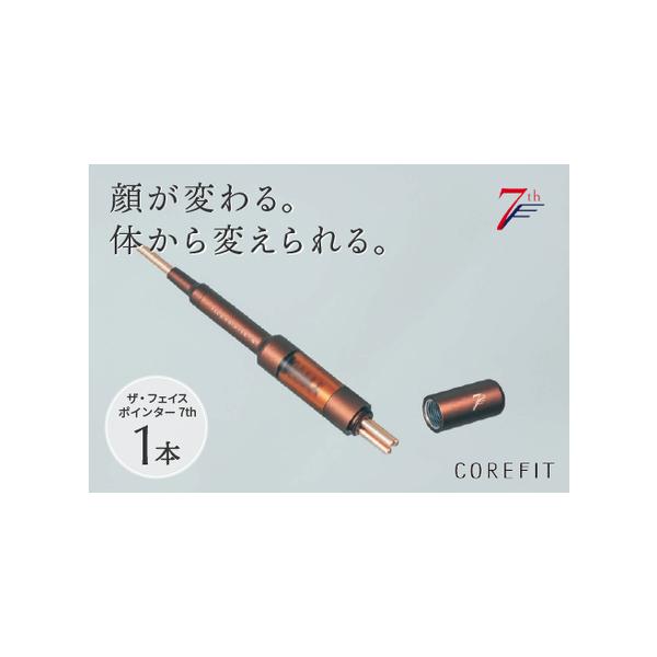 ふるさと納税 【数量限定】The FACE POiNTER 7th 取り扱い開始！ 福井