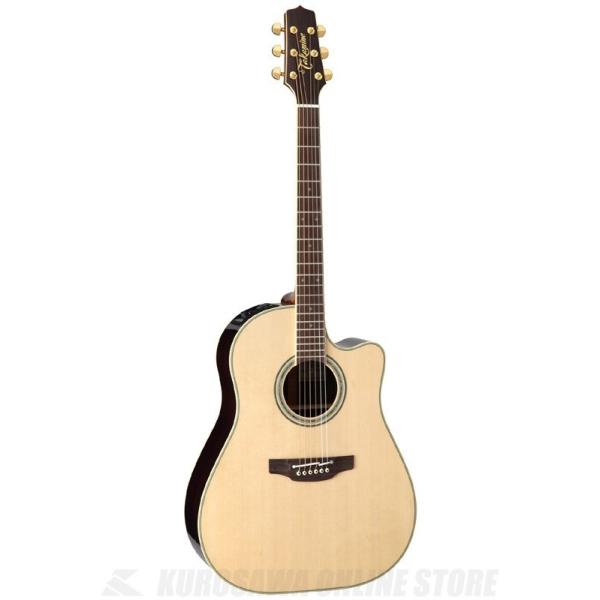 タカミネ 800シリーズ PTU841C [N] (アコースティックギター) 価格比較