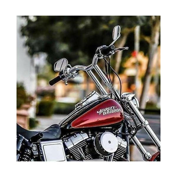 LAチョッパーズ 0601-4934 ワンピース Kage Fighters Tハンドルバー