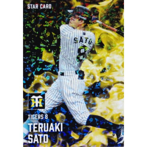 jambalaya_25cp-2-s28