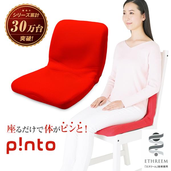pinto 椅子 クッション 座椅子 ピント エスリーム p!nto ETHREEM