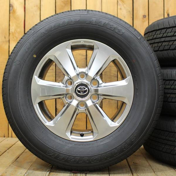 oldgear-chiba_241005-7560-265s