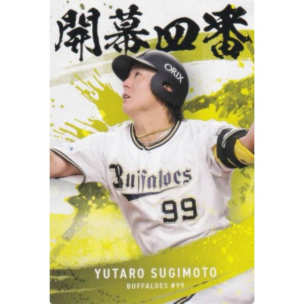 lead-netstore_25pc2d262508tt077