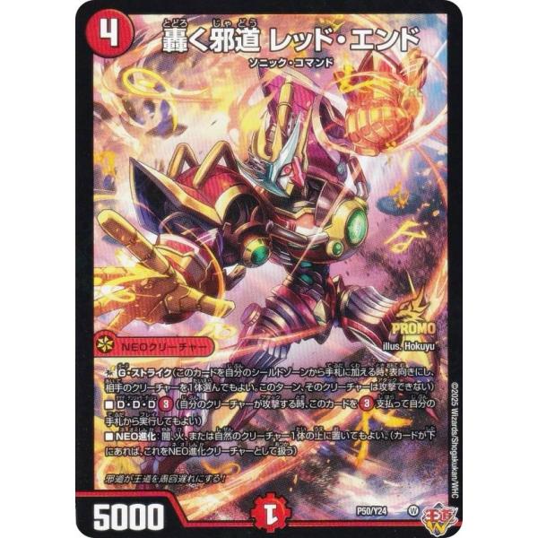 lead-netstore_2509cr092508tt1