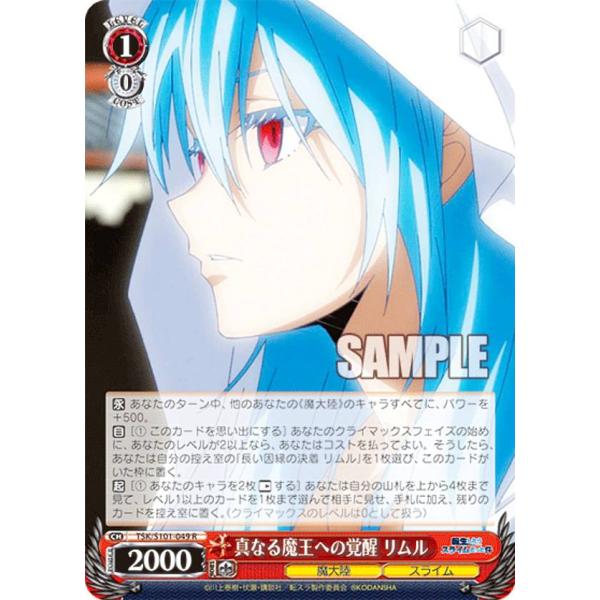 lead-netstore_s101bs212301tt049