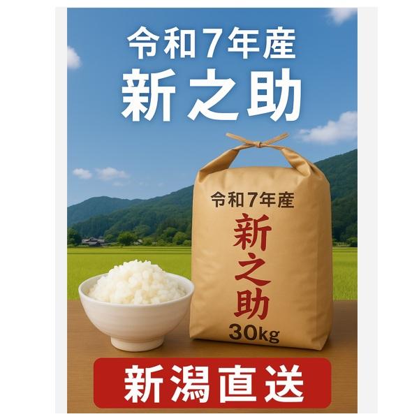 新潟県産 新之助 玄米30kg 令和7年産/1等/米/玄米/新米 : 農機具