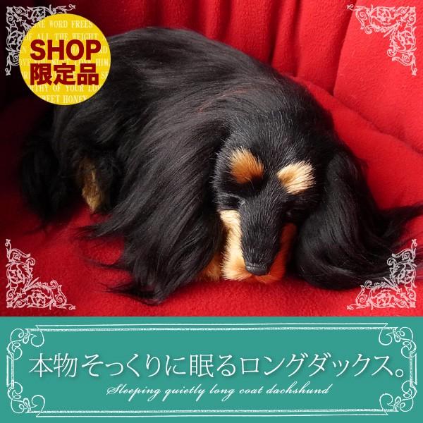 ニニアンドキノ パーフェクトペット (小サイズ) ダックス ロング