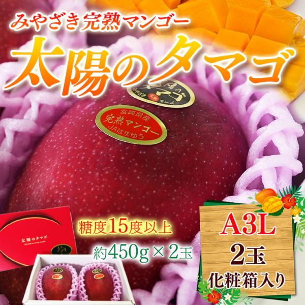 太陽のタマゴ 宮崎完熟マンゴー 大玉A3Lサイズ 約450g×2玉 箱入り 糖度