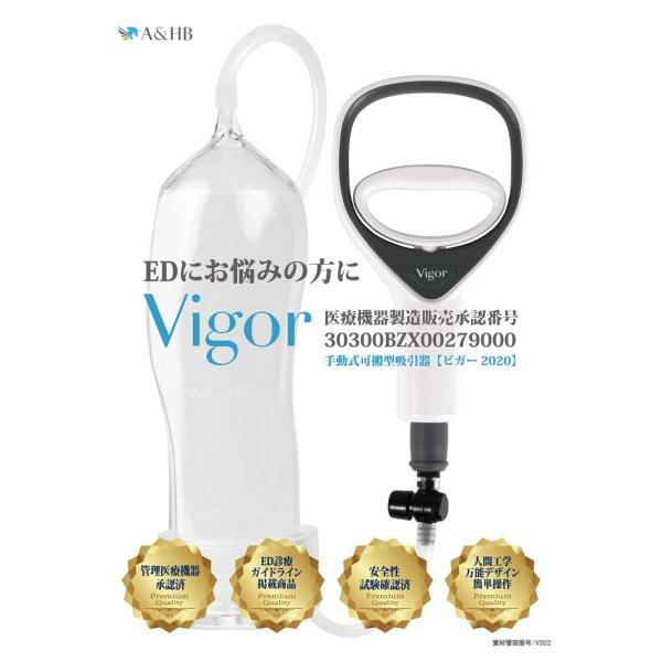 ビガー2020(PLエッセンス付属) : エスエーアイ アイストア - 通販