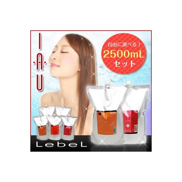 シャンプー ルベル 2500 イオ セット」の人気商品一覧 | 安い商品を
