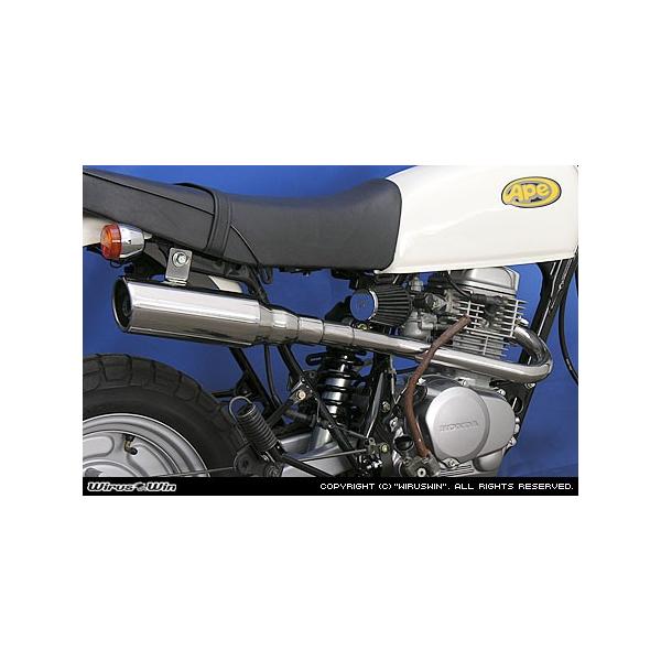 WirusWin エイプ100 テイストアップ マフラー/ウイルズウィン