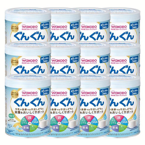 12個セット)和光堂フォローアップミルクぐんぐん300g (D) 新生活