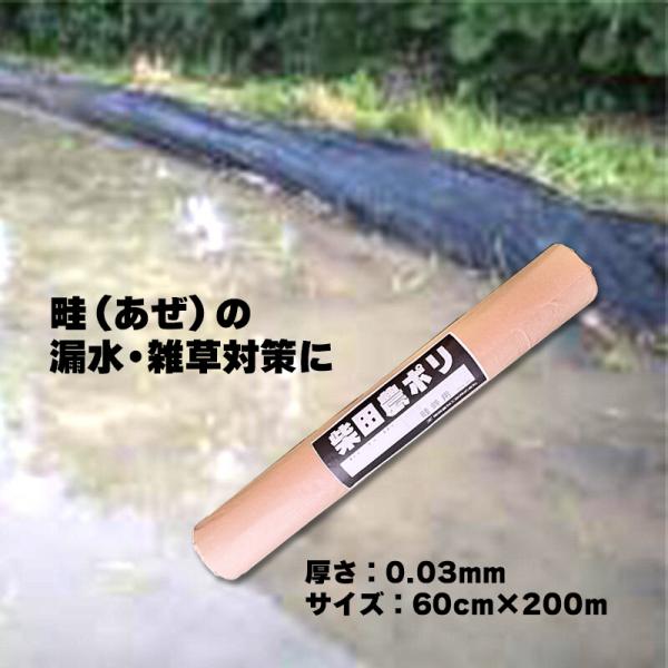 アゼマルチ 厚さ0.03mm×巾60cm×長さ200m 畦畔シート ポリシート あぜ