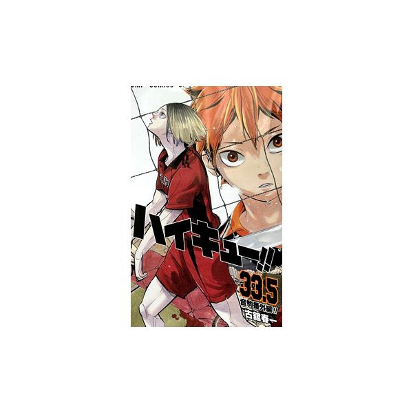 ハイキュー!! 劇場版 ゴミ捨て場の決戦 復刻版 33.5巻 入場者特典