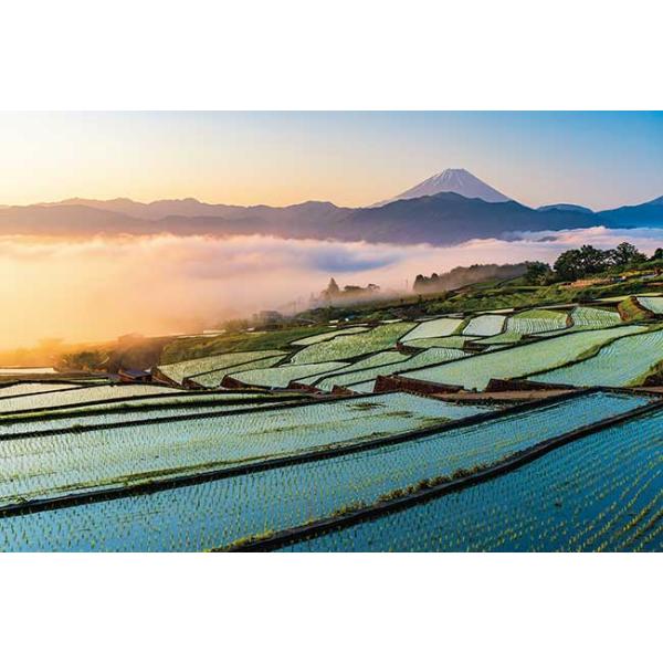 puzzle-seikatsu_1000-914-