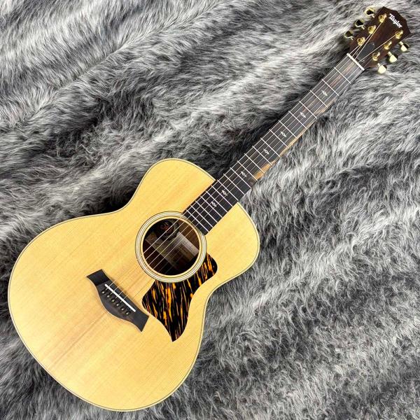Taylor Taylor 50th Anniversary GS Mini-e Rosewood LTD : ロッキン