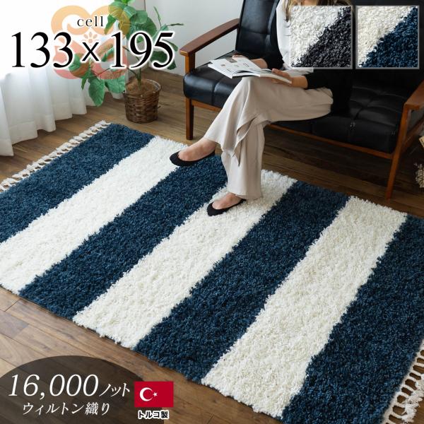 ragmatst_z1312-cell-133-195