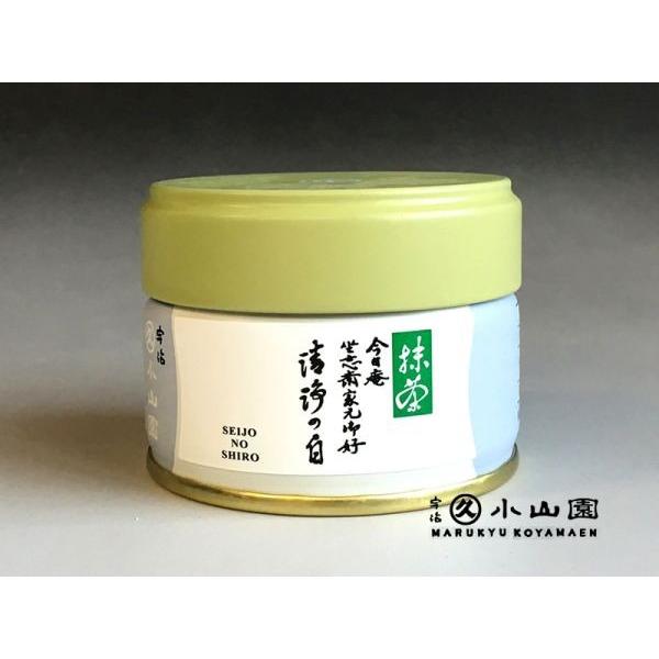 抹茶 宇治 丸久小山園 清浄の白 20g 缶（せいじょうのしろ）裏千家