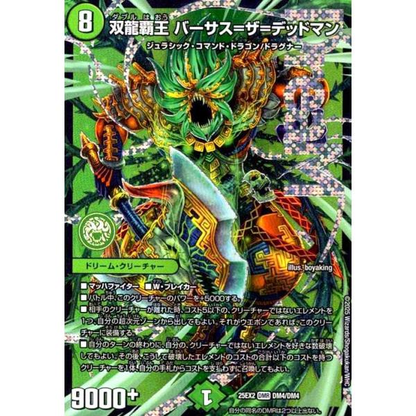 ryuunoshippo_240409499