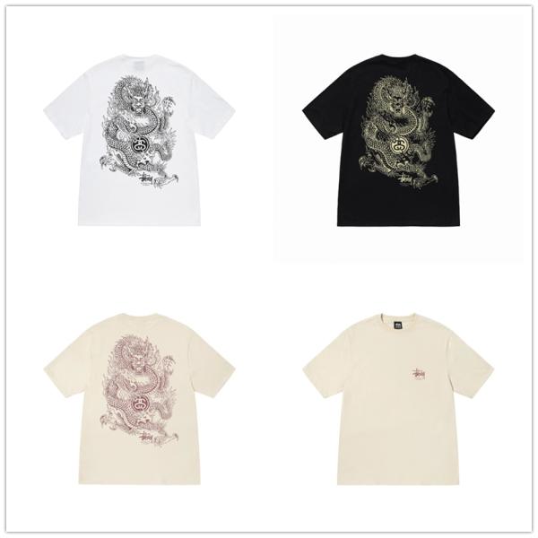STUSSY（ステューシー） STUSSY DRAGON TEE 1904847 メンズ 半袖 T