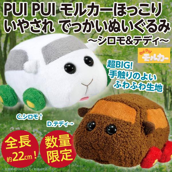 PUI モルカー ほっこりいやされ でっかいぬいぐるみ シロモ＆テディ