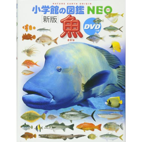 小学館の図鑑 NEO［新版］魚 DVD付 : 六本木 蔦屋書店 ヤフー店 - 通販
