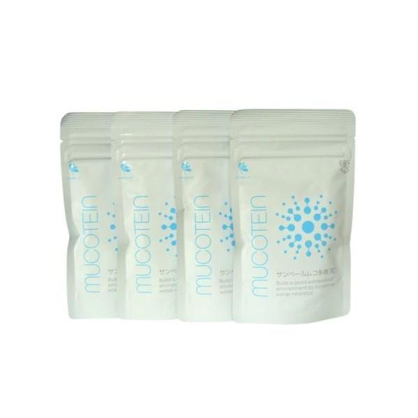 サンベール ムコテイン ムコ多糖 80粒 4袋セット 賞味期限2026/06