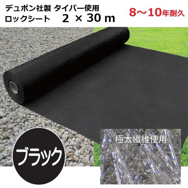DuPont（デュポン） ロックシート 2m×30m 厚さ0.64mm シンセイ