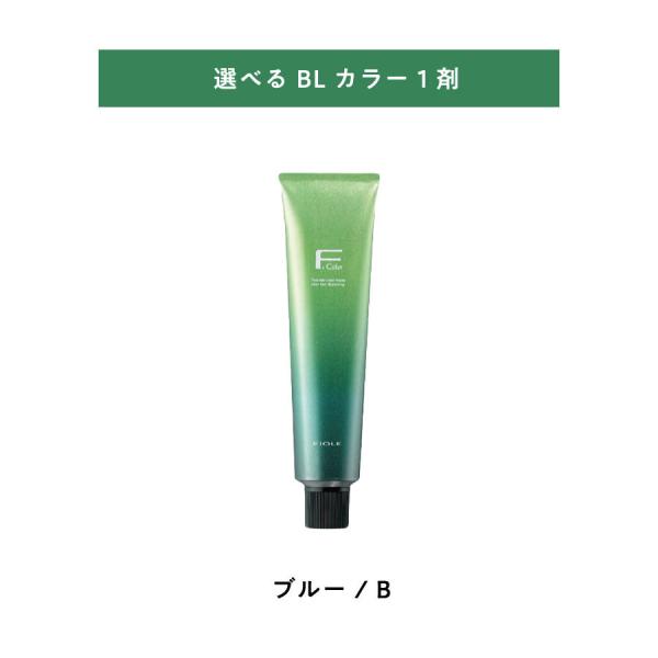 BL Color 【 選べる 1剤 】 フィヨーレ BLカラー B ブルー 120g FIOLE