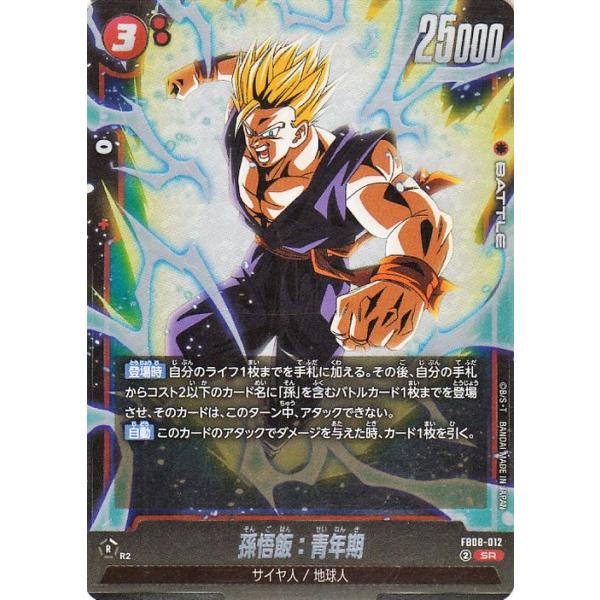 FB08-121】孫悟天 孫悟飯 孫悟空 パラレル 3枚 フュージョンワールド