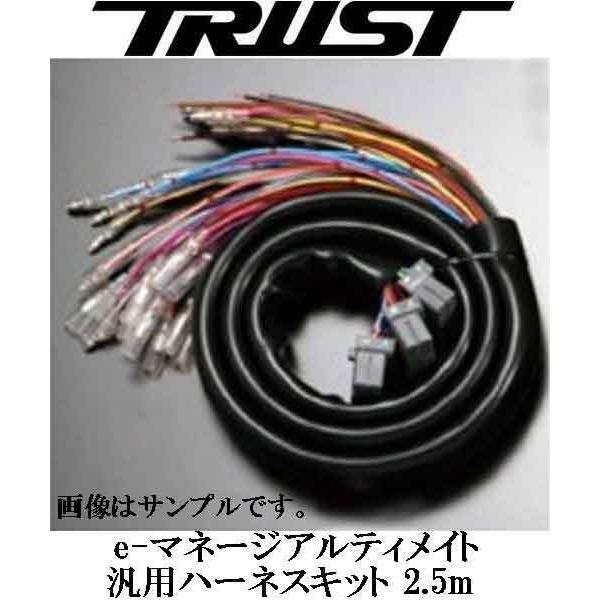 TRUST（トラスト） グレッディ e-マネージ アルティメイト 汎用