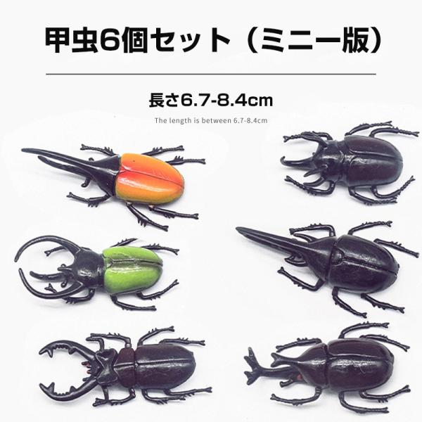 カブトムシ クワガタ 昆虫 セット 甲虫 リアル おもちゃ、昆虫 模型