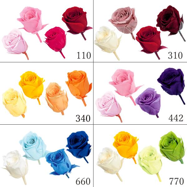 P10倍中 3/2 9:59まで】 プリザーブドフラワー 花材 即日出荷 ビビアン