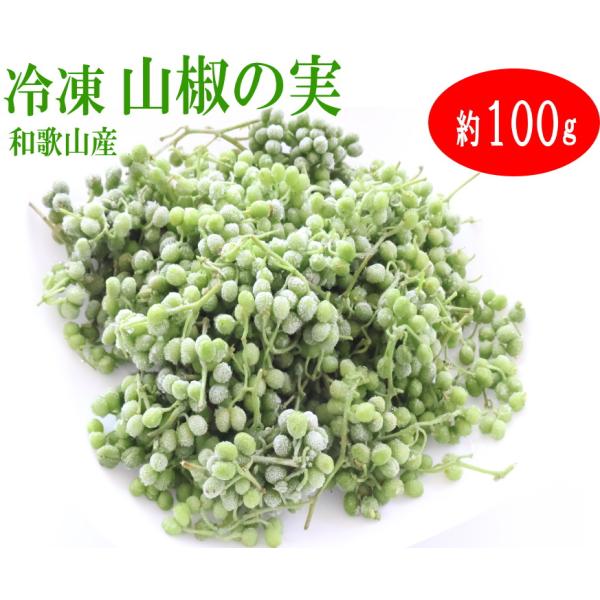 冷凍 山椒の実・ぶどう実山椒/朝倉山椒 100g/令和7年産 和歌山産【実