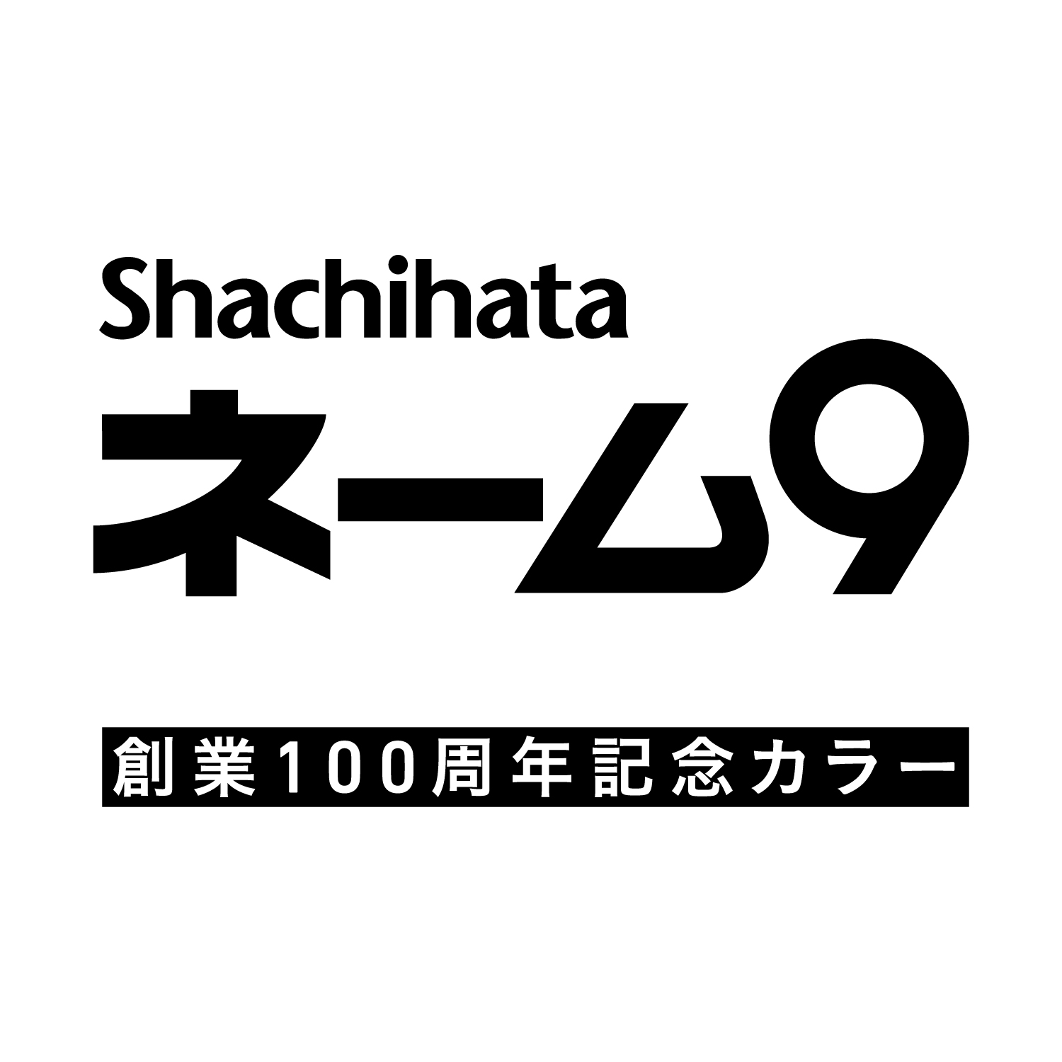 ネーム9 メールオーダー式 創業100周年記念カラー 白川郷の灯(しらかわ
